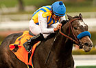 The Factor Returns to Work Tab at Del Mar