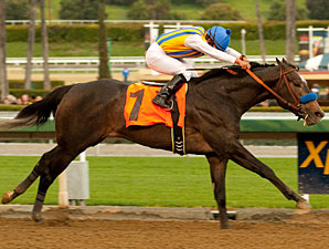 The Factor Dazzles Again in San Vicente The Factor Dazzles Again in San Vicente