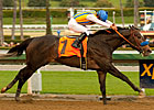 The Factor Dazzles Again in San Vicente