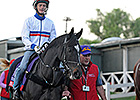 The Fugue Leads Euros out of Quarantine at BC The Fugue Leads Euros out of Quarantine at BC