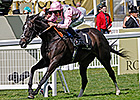 The Fugue Favorite for Coral-Eclipse The Fugue Favorite for Coral-Eclipse