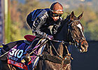 Multiple Group I Winner The Fugue Retired Multiple Group I Winner The Fugue Retired