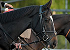 TrueNicks: Chasing a Mate for The Fugue TrueNicks: Chasing a Mate for The Fugue