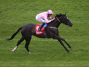 The Fugue Cruises in Irish Champion Stakes The Fugue Cruises in Irish Champion Stakes