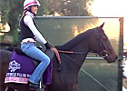 Breeders' Cup - Europeans Leave the Yard Breeders' Cup - Europeans Leave the Yard