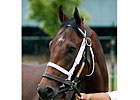 The Leopard Takes on Graded Company