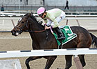 Posse Offspring Take Pair of NY-Bred Stakes Posse Offspring Take Pair of NY-Bred Stakes