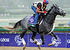 The Lumber Guy Dominates NY-Bred Awards The Lumber Guy Dominates NY-Bred Awards