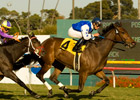 New York Invader The Mailet Posts Miesque Win New York Invader The Mailet Posts Miesque Win