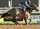The Pamplemousse Out of Kentucky Derby