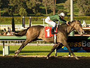 Ky. Derby Trail: Girl Talk Ky. Derby Trail: Girl Talk