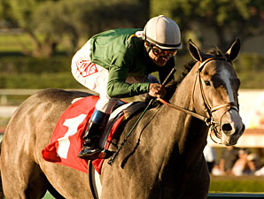 The Pamplemousse Sharp at Santa Anita The Pamplemousse Sharp at Santa Anita