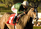 The Pamplemousse Sharp at Santa Anita