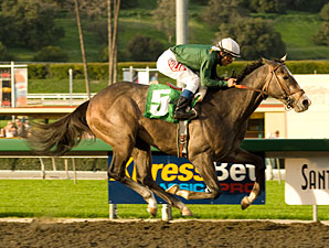 The Pamplemousse Gets Loose in Sham Win The Pamplemousse Gets Loose in Sham Win