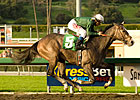 The Pamplemousse Gets Loose in Sham Win The Pamplemousse Gets Loose in Sham Win