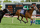 The Pizza Man Triumphs in American St. Leger The Pizza Man Triumphs in American St. Leger