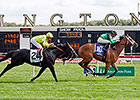 Few Major Changes in Graded Stakes for 2015 Few Major Changes in Graded Stakes for 2015