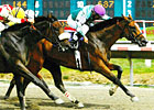Filly Runs for a Little Girl Who Can't Filly Runs for a Little Girl Who Can't