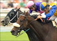 Mandella Decides Not to Run The Tin Man in Turf Mandella Decides Not to Run The Tin Man in Turf