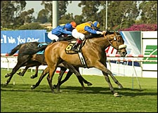 The Tin Man Doubtful for Breeders' Cup Turf The Tin Man Doubtful for Breeders' Cup Turf