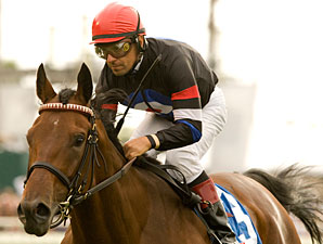 10 Entered in the Pacific Classic at Del Mar 10 Entered in the Pacific Classic at Del Mar