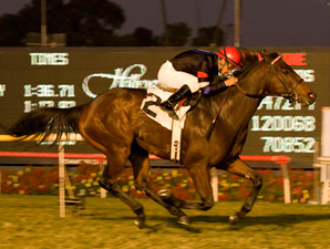 Trio of American Horses Line Up For Duty Free Trio of American Horses Line Up For Duty Free