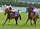 The Wow Signal Tops Hootenanny at Deauville The Wow Signal Tops Hootenanny at Deauville