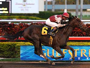 Theregoesjojo works for Florida Derby Theregoesjojo works for Florida Derby