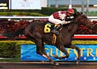 Blue Grass Contenders in Final Workouts Blue Grass Contenders in Final Workouts