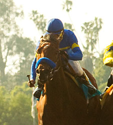 Six Seek First Graded Win in Milady Handicap Six Seek First Graded Win in Milady Handicap