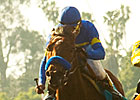 Six Seek First Graded Win in Milady Handicap Six Seek First Graded Win in Milady Handicap