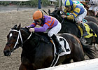 Louisiana H. Contenders Back for Mineshaft Louisiana H. Contenders Back for Mineshaft