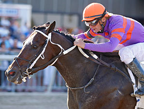 Thiskyhasnolimit captures Smarty Jones Stakes Thiskyhasnolimit captures Smarty Jones Stakes