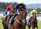 Thistle Bird Swoops for Pretty Polly Win Thistle Bird Swoops for Pretty Polly Win