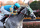 Thorn Song a Major Threat on Turf