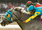 Thorn Song Prickly Winner of Shoemaker Mile Thorn Song Prickly Winner of Shoemaker Mile