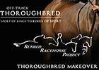 Thoroughbred Makeover is Bigger, Interactive Thoroughbred Makeover is Bigger, Interactive