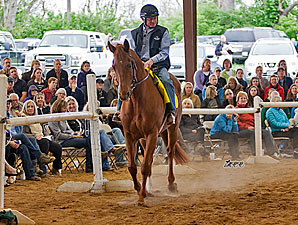 500 Attend Thoroughbreds For All Event 500 Attend Thoroughbreds For All Event