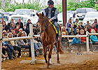 500 Attend Thoroughbreds For All Event 500 Attend Thoroughbreds For All Event