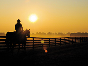 Three Chimneys Employees Helped Save Horses Three Chimneys Employees Helped Save Horses