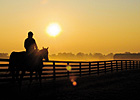 Three Chimneys Employees Helped Save Horses Three Chimneys Employees Helped Save Horses