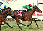 Competitive Field of 12 Distaffers in Frankel Competitive Field of 12 Distaffers in Frankel