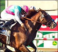Three Valleys Scales Del Mar Breeders' Cup Three Valleys Scales Del Mar Breeders' Cup