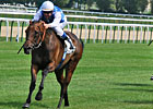 Through The Lens: Goldikova's 2011 Campaign