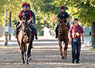 Arlington Million Coverage 2014 Arlington Million Coverage 2014