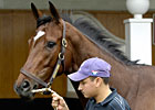 Through The Lens: Stars from the Sale