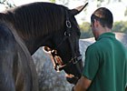 Through The Lens: Zenyatta's New Friends Through The Lens: Zenyatta's New Friends