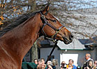 Through The Lens: A Visit with Havre de Grace