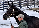 Through The Lens: Zenyatta at Lane's End