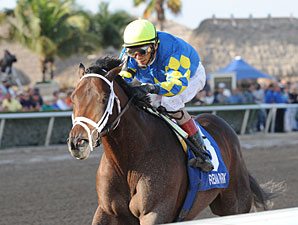 Super Shopper Starlight Has Basket of 3YOs Super Shopper Starlight Has Basket of 3YOs